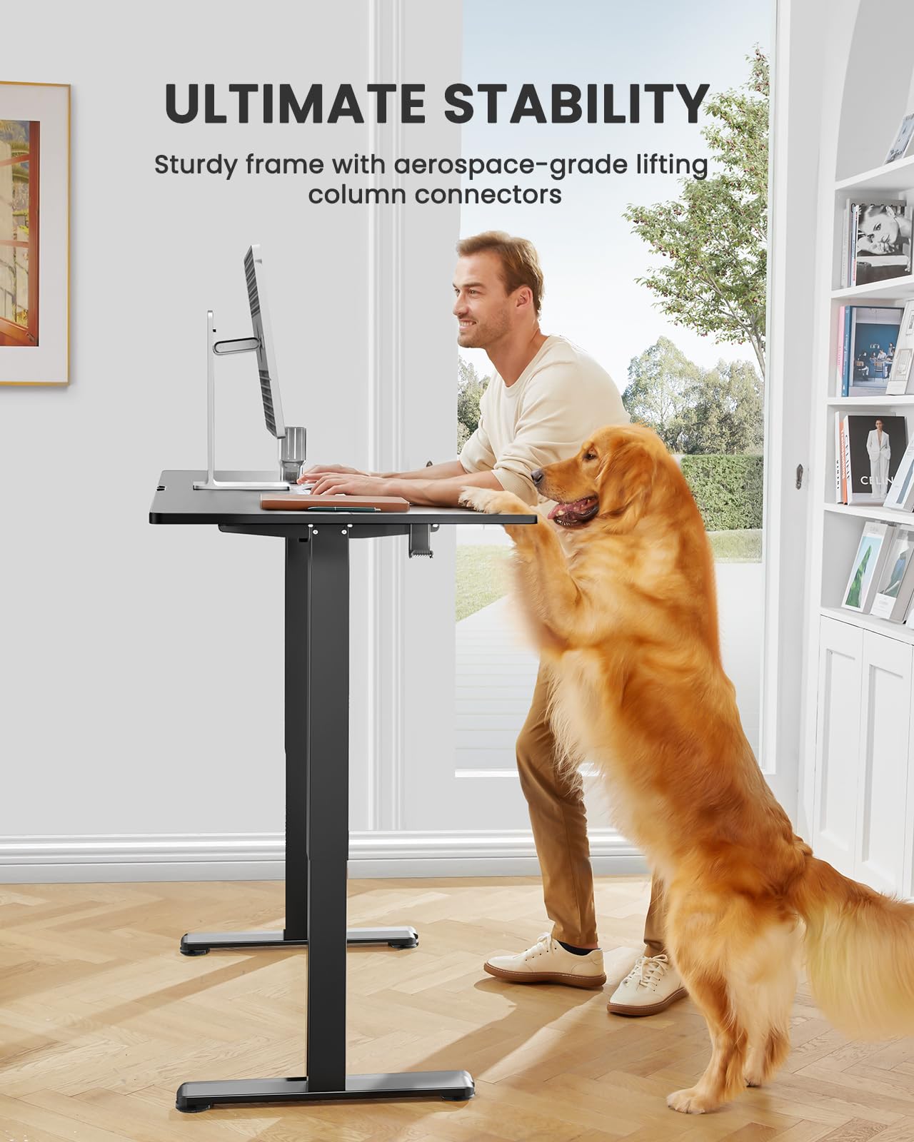 ErGear Height Adjustable Electric Standing Desk, 48 x 24 Inches Sit Stand up Desk, Memory Computer Home Office Desk (Black)