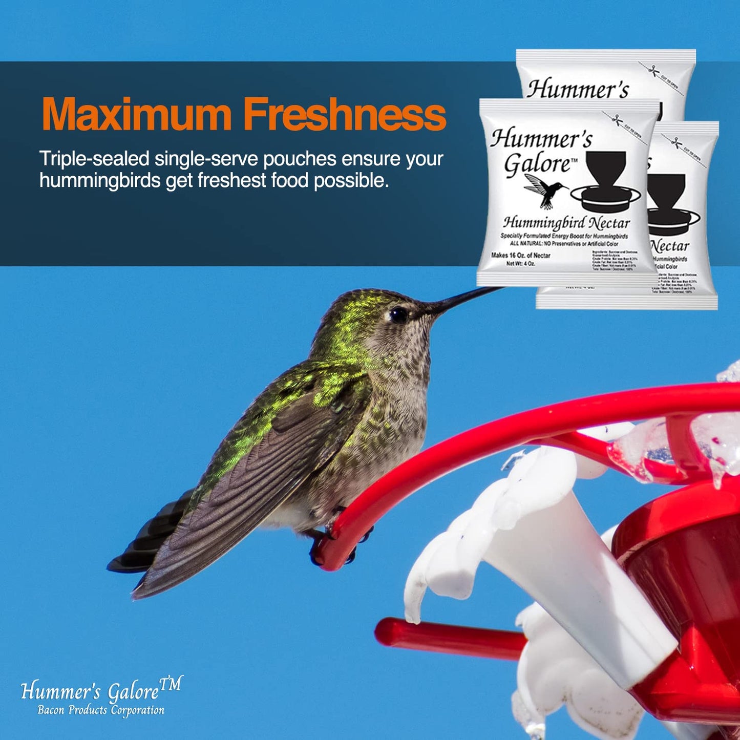 Hummer's Galore Hummingbird Food - Ready-to-Mix Hummingbird Nectar, All-Natural Nectar Collector Formula, No Preservatives or Dyes, Makes 64 Ounces (4 Packets Included)