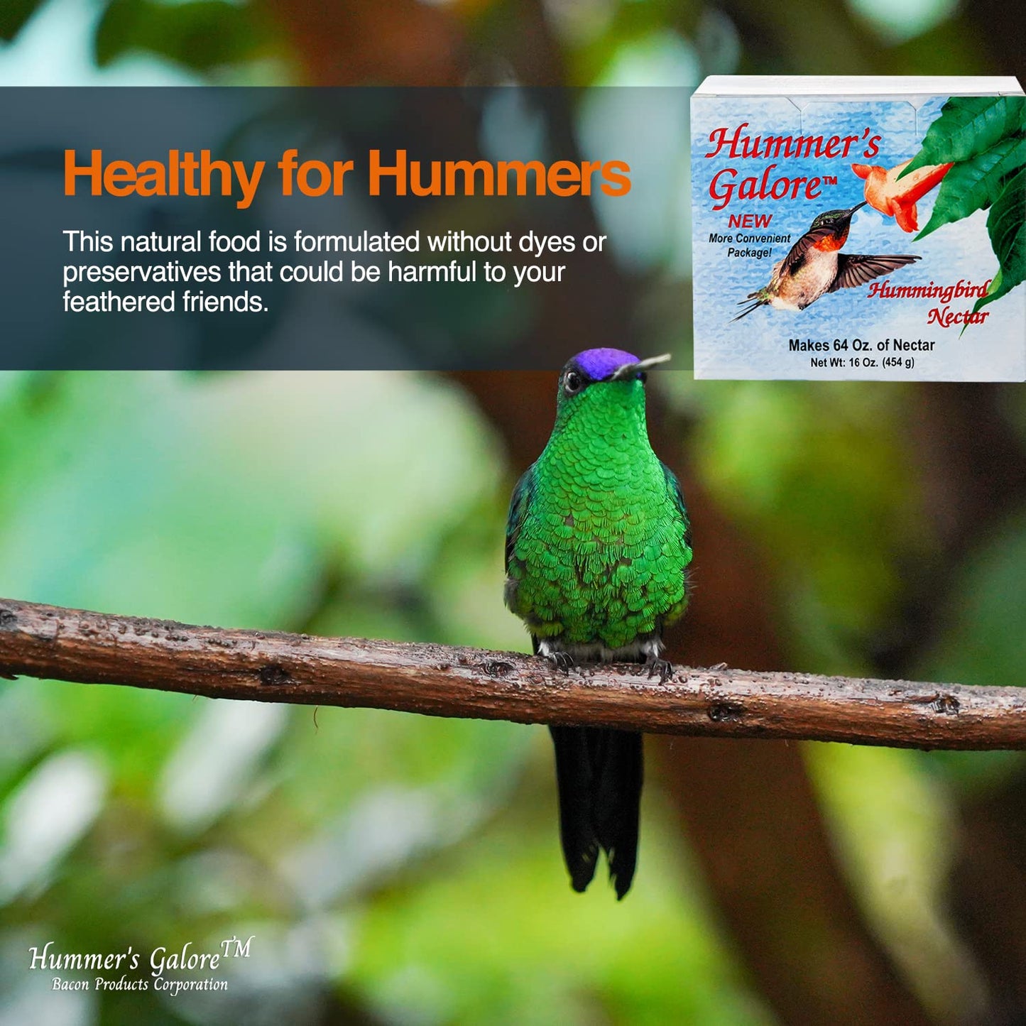 Hummer's Galore Hummingbird Food - Ready-to-Mix Hummingbird Nectar, All-Natural Nectar Collector Formula, No Preservatives or Dyes, Makes 64 Ounces (4 Packets Included)