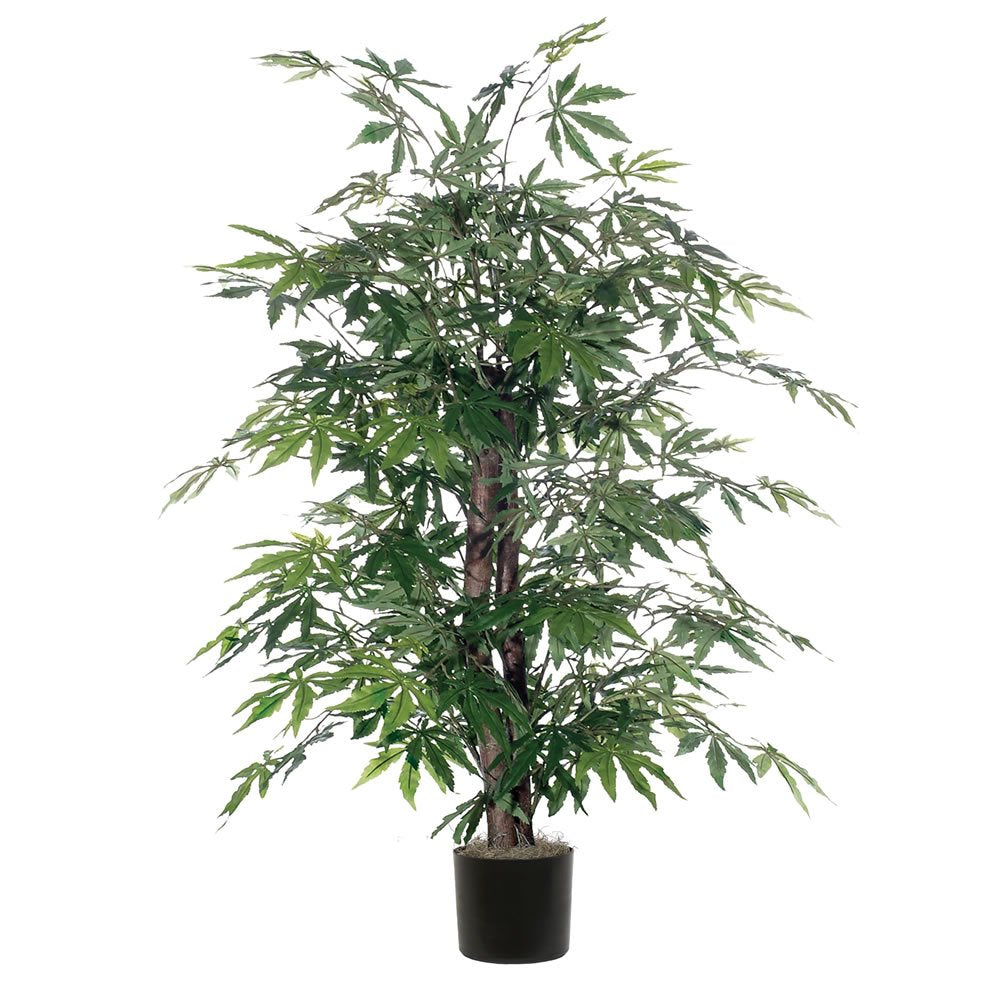 Vickerman TBU1840-06 Japanese Maple Bush, Green, 4'