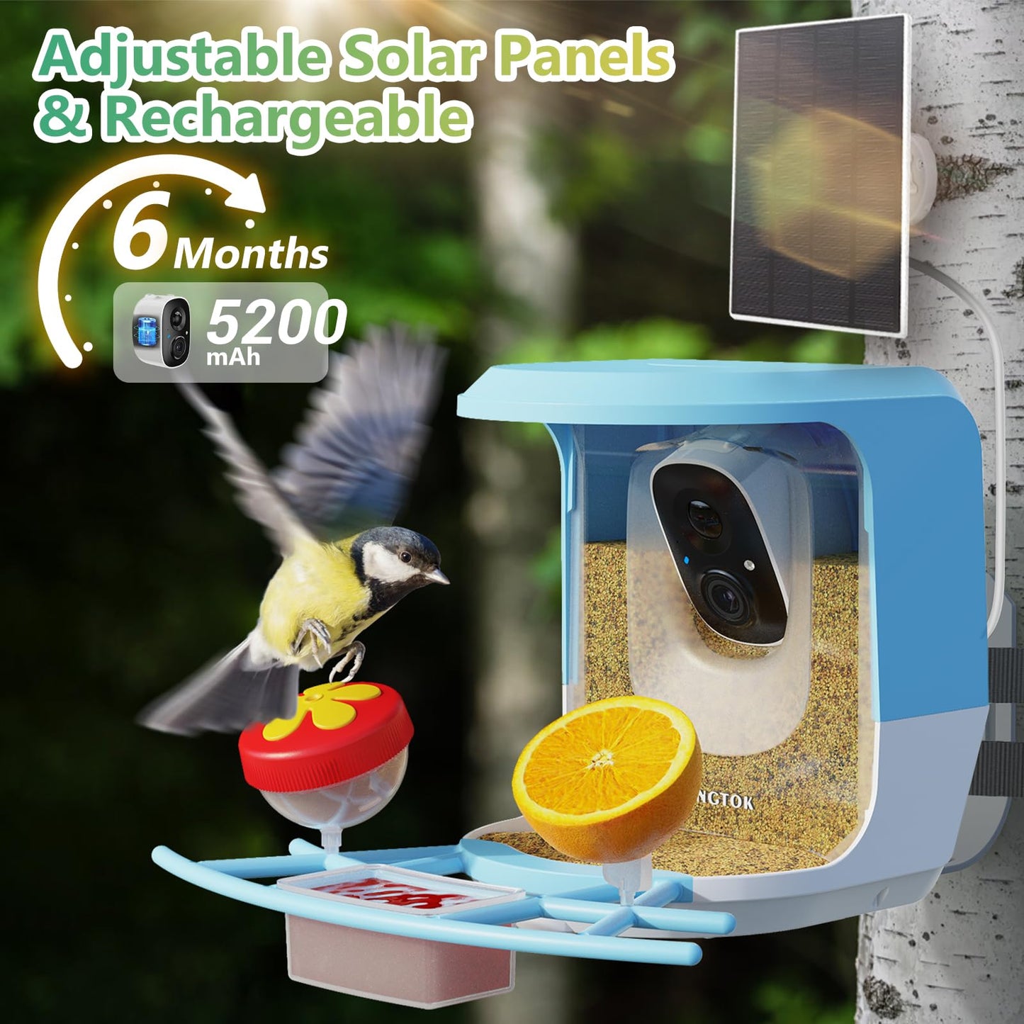 Vingtok Smart Bird Feeder with Camera, Outdoor Bird Watching Camera with Solar Powered, Full HD AI Identify Camera DIY Wild Bird Feeder, Auto Capture Bird Video& Real Time Views for Bird Lovers