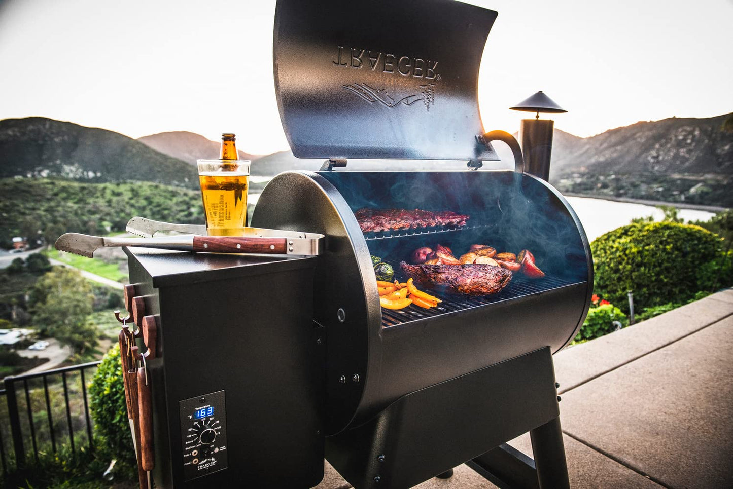 Traeger Grills Pro 22 Electric Wood Pellet Grill and Smoker, Bronze, 572 Square Inches Cook Area, 450 Degree Max Temperature, Meat Probe, 6 in 1 BBQ Grill