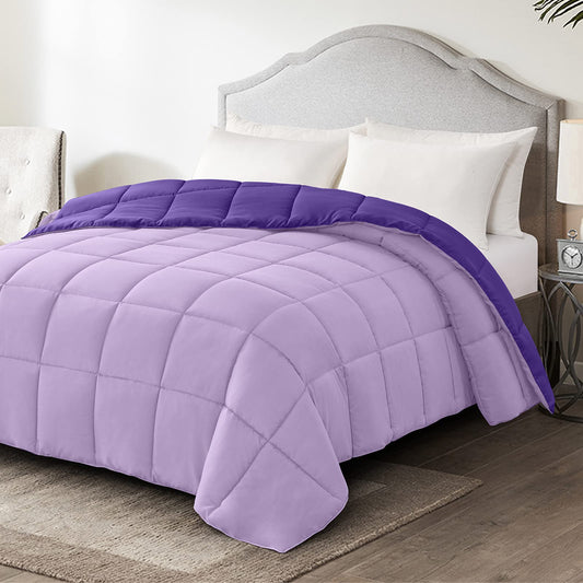 Homelike Moment Lightweight Twin Comforter - Purple Down Alternative Comforters Twin Size Bed, All Season Duvet Insert Quilted Reversible Bedding Comforter Soft Cozy Twin Size Plum/Light Purple