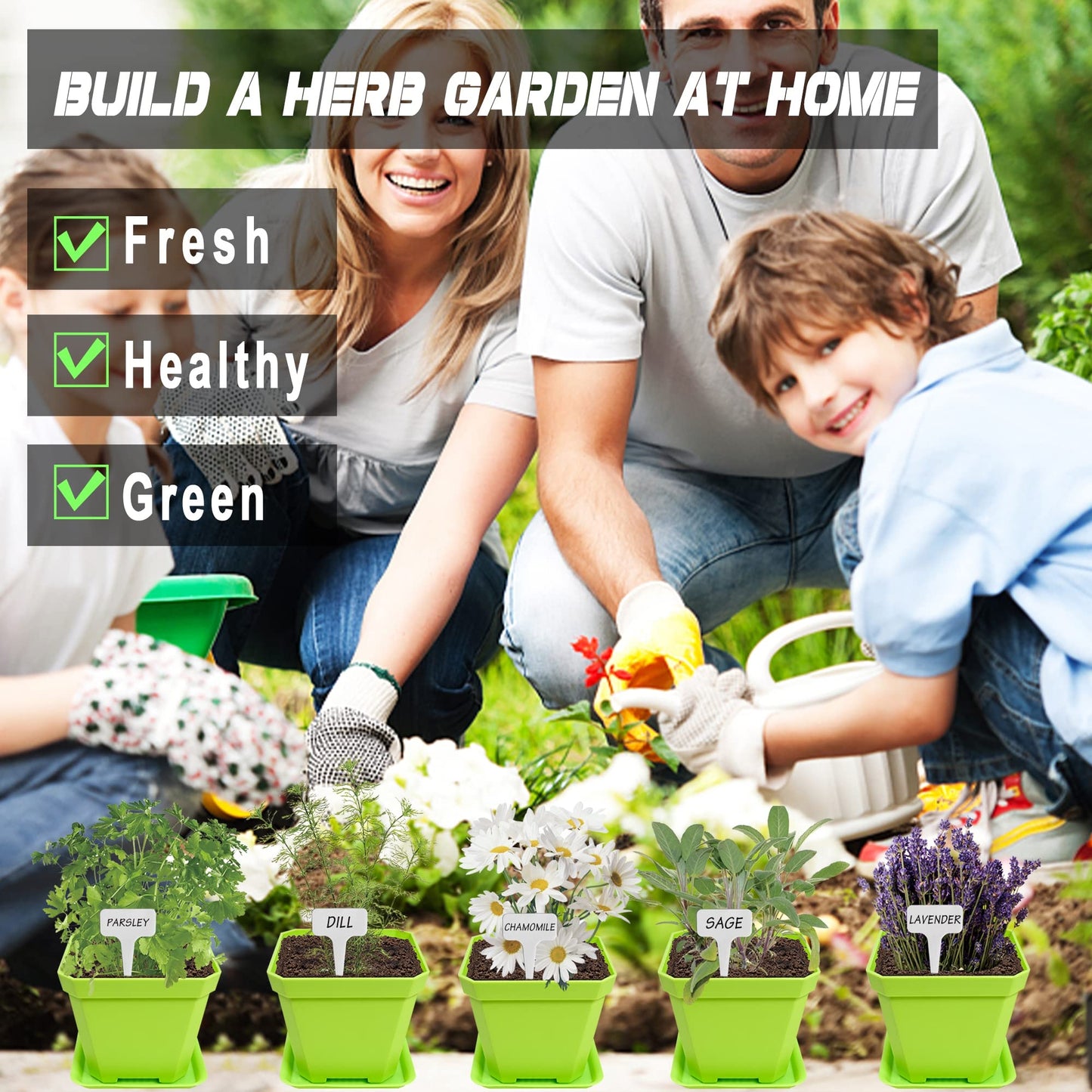 10 Herb Seeds Garden Starter Grow Kit with Green Pots, Markers, Nutritional Soil, Watering, Herb Clipper, Complete Indoor Potted Plant Growing Set for Kitchen DIY