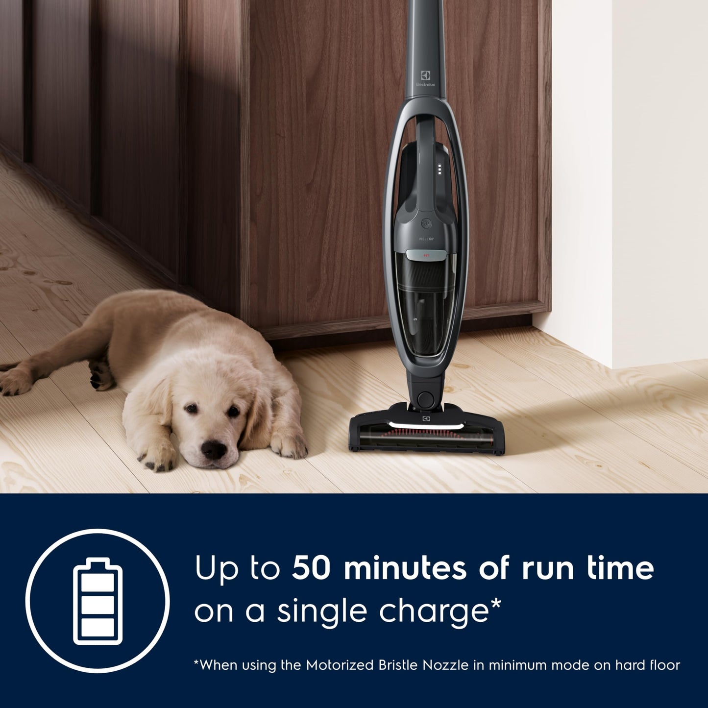 Electrolux WellQ7 Pet Stick Cleaner Lightweight Cordless Vacuum with LED Nozzle Lights, Turbo Battery Power, PetPro+ Nozzle for Removing Pet Hair from Carpets and Hard Floors, in Shale Grey