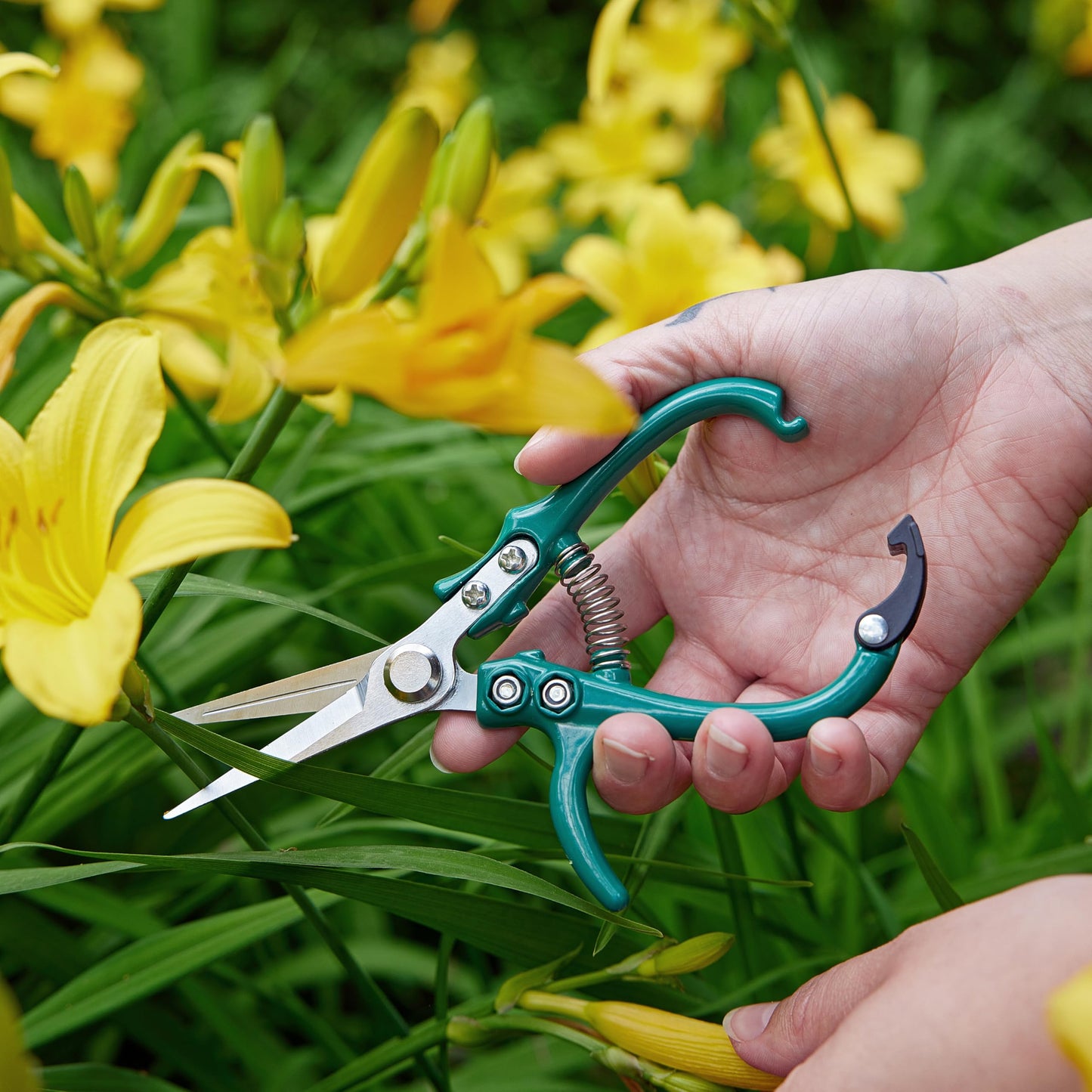 Modern Sprout Pruning Shears for Gardening, Herb Snips, Flower Cutting Scissors, Indoor Plant Shears, Lightweight, Ergonomic, Carbon Steel Blade, Easy-Lock Safety, Aesthetic (Ocean)