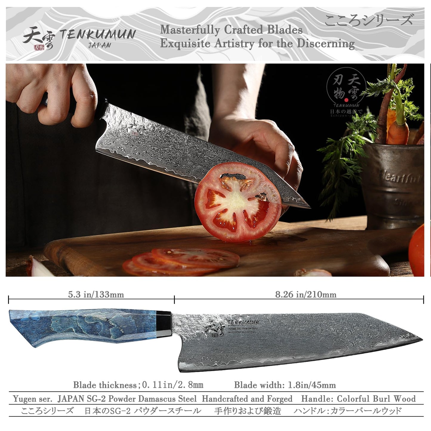 Tenkumun Japanese Gyutou 210mm Profession Santoku Handcrafted 8 inch Chef Knife Handmade Forged Knife Japan SG2 Powder Steel with Blue Wood Handle