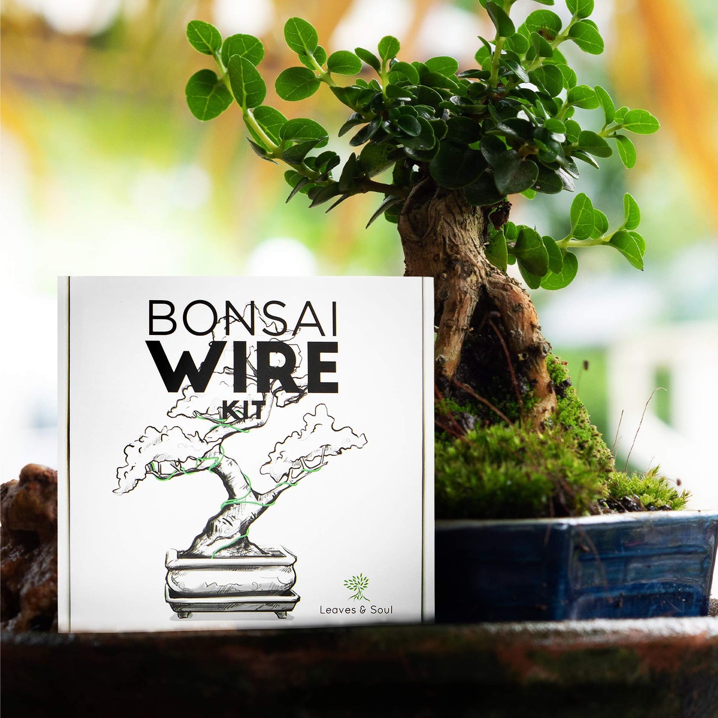 Leaves and Soul Tree Training Wire Kit - 5 Rolls (160ft) Aluminum Alloy Bonsai Plant Training Wire | Wire Cutter | Canvas Storage Bag - Bonsai Accessories for Beginners & Professionals