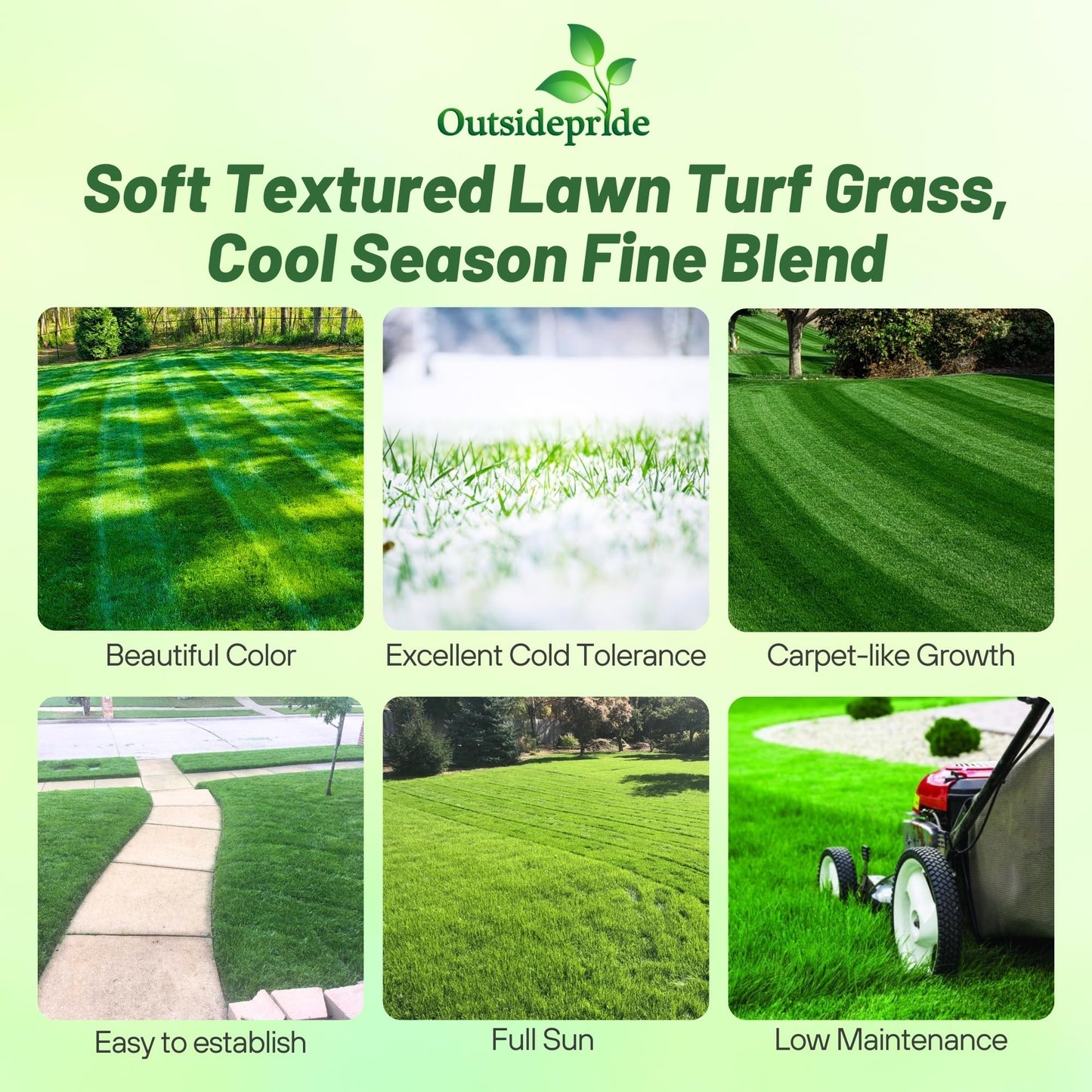 Outsidepride Midnight Kentucky Bluegrass Seed - 5 Lbs. Cold & Drought Tolerant, Sun-Loving Lawn Grass Seed, w/High Traffic Tolerance & Deep Root System, OptiGrowth Coated for Better Establishment