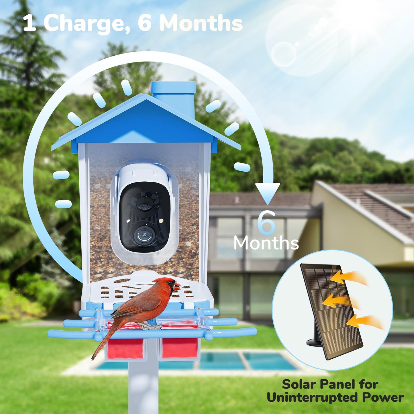 Twesync Bird Feeder with Camera, 2K HD Bird Video Capture, 5000mAh Battery with Solar Panel, Instant Arrival Alerts, Live View, AI Bird Species Identification, Perfect for Bird Lovers