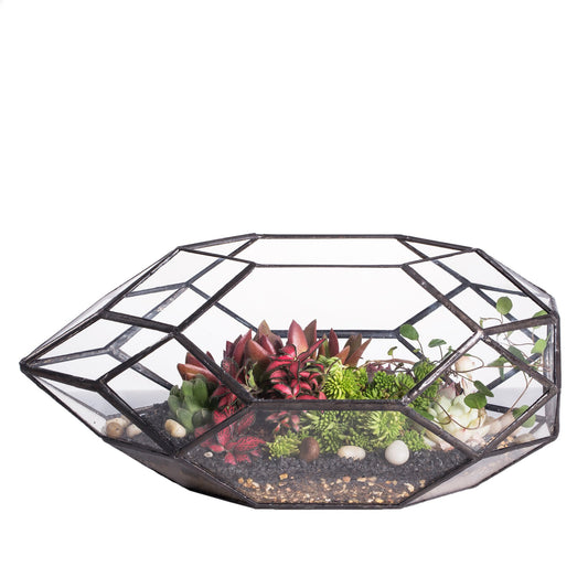NCYP 6.5 x 5.9 x 11 Inches Geometric Glass Terrarium for Succulent, Air Plants - Large Irregular Clear Terrarium Planter - Indoor Tabletop Centerpiece for Wedding Garden Decor, Black (No Plants)