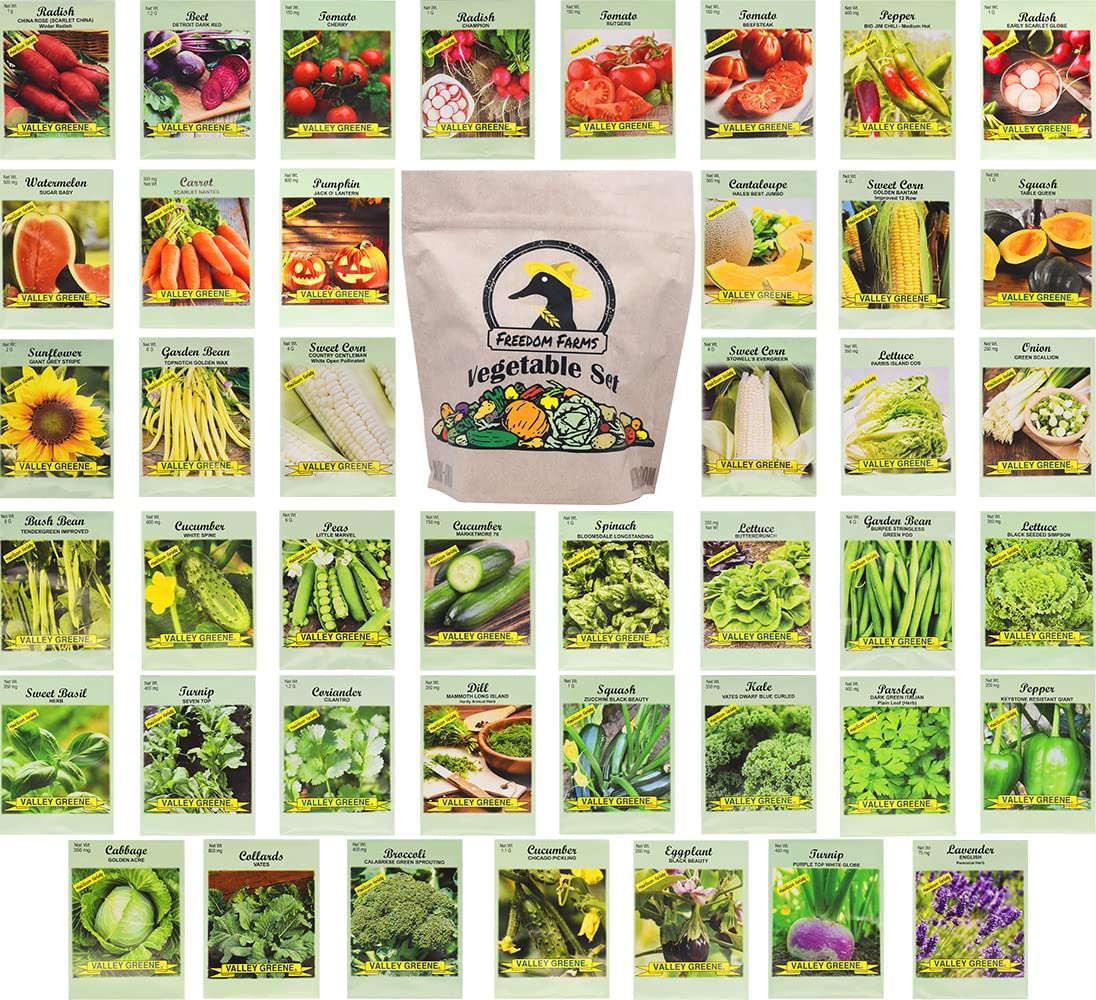 Set of 43 Assorted Vegetable & Herb Seed Packets - Over 10,000 Seeds! - Includes Mylar Storage Bag - Deluxe Garden Heirloom Seeds - 100% Non-GMO