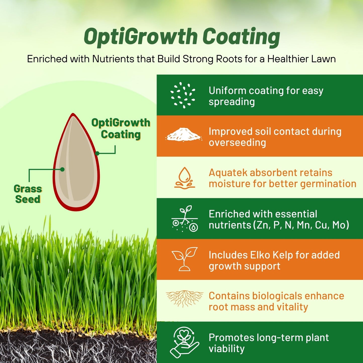 Outsidepride Midnight Kentucky Bluegrass Seed - 5 Lbs. Cold & Drought Tolerant, Sun-Loving Lawn Grass Seed, w/High Traffic Tolerance & Deep Root System, OptiGrowth Coated for Better Establishment