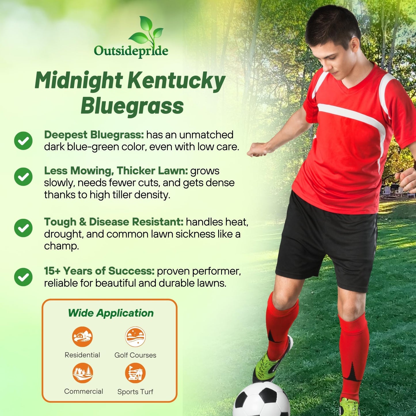 Outsidepride Midnight Kentucky Bluegrass Seed - 5 Lbs. Cold & Drought Tolerant, Sun-Loving Lawn Grass Seed, w/High Traffic Tolerance & Deep Root System, OptiGrowth Coated for Better Establishment