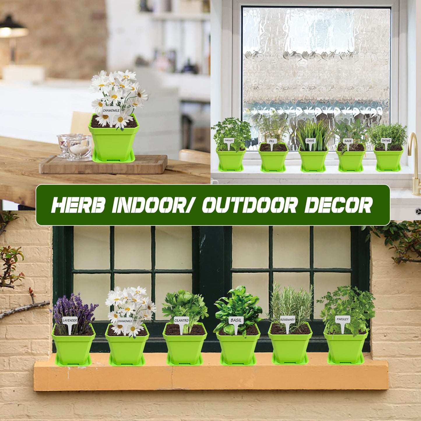 10 Herb Seeds Garden Starter Grow Kit with Green Pots, Markers, Nutritional Soil, Watering, Herb Clipper, Complete Indoor Potted Plant Growing Set for Kitchen DIY