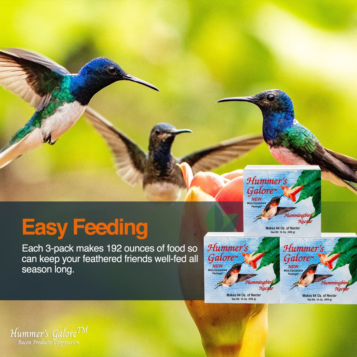 Hummer's Galore Hummingbird Food, Ready-to-Mix Hummingbird Nectar, All-Natural Nectar Collector Formula, No Preservatives or Dyes, Makes 192 oz (Pack of 3)