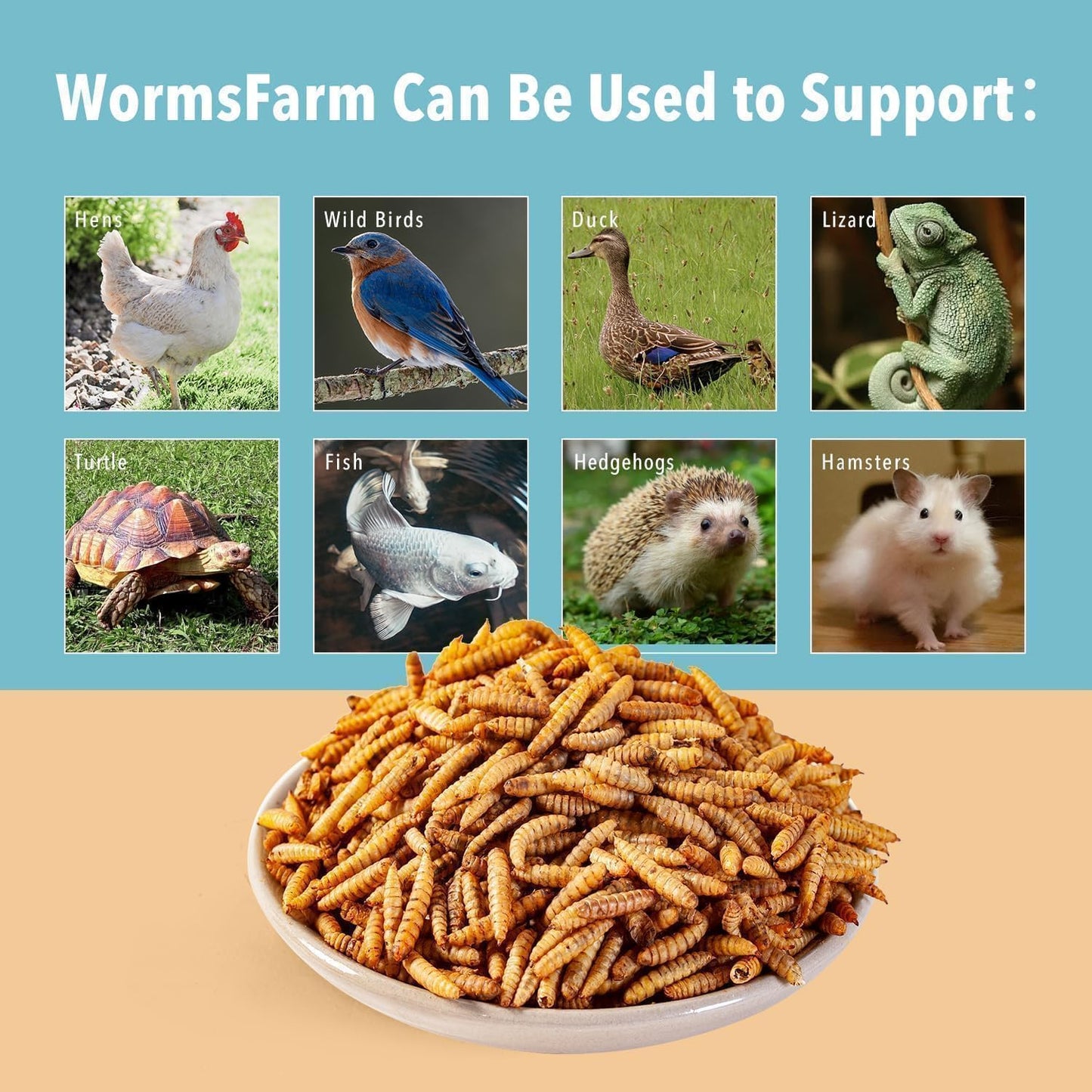 WormsFarm 5LB Dried Black Soldier Fly Larvae Treat for Chicken More Calcium Than Mealworms,for Laying Hen,Wild Birds (5 Pound)