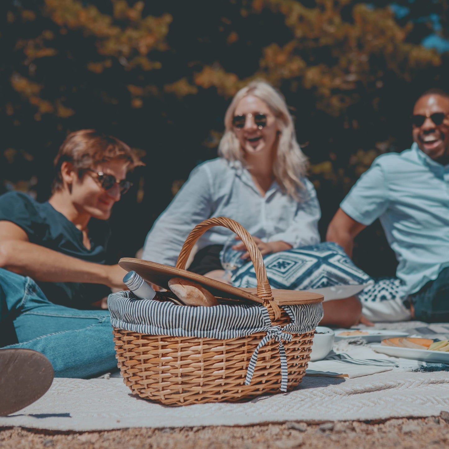 PICNIC TIME - Country Vintage Picnic Basket with Lid - Wicker Picnic Basket for 2, (Navy Blue & White Stripe)