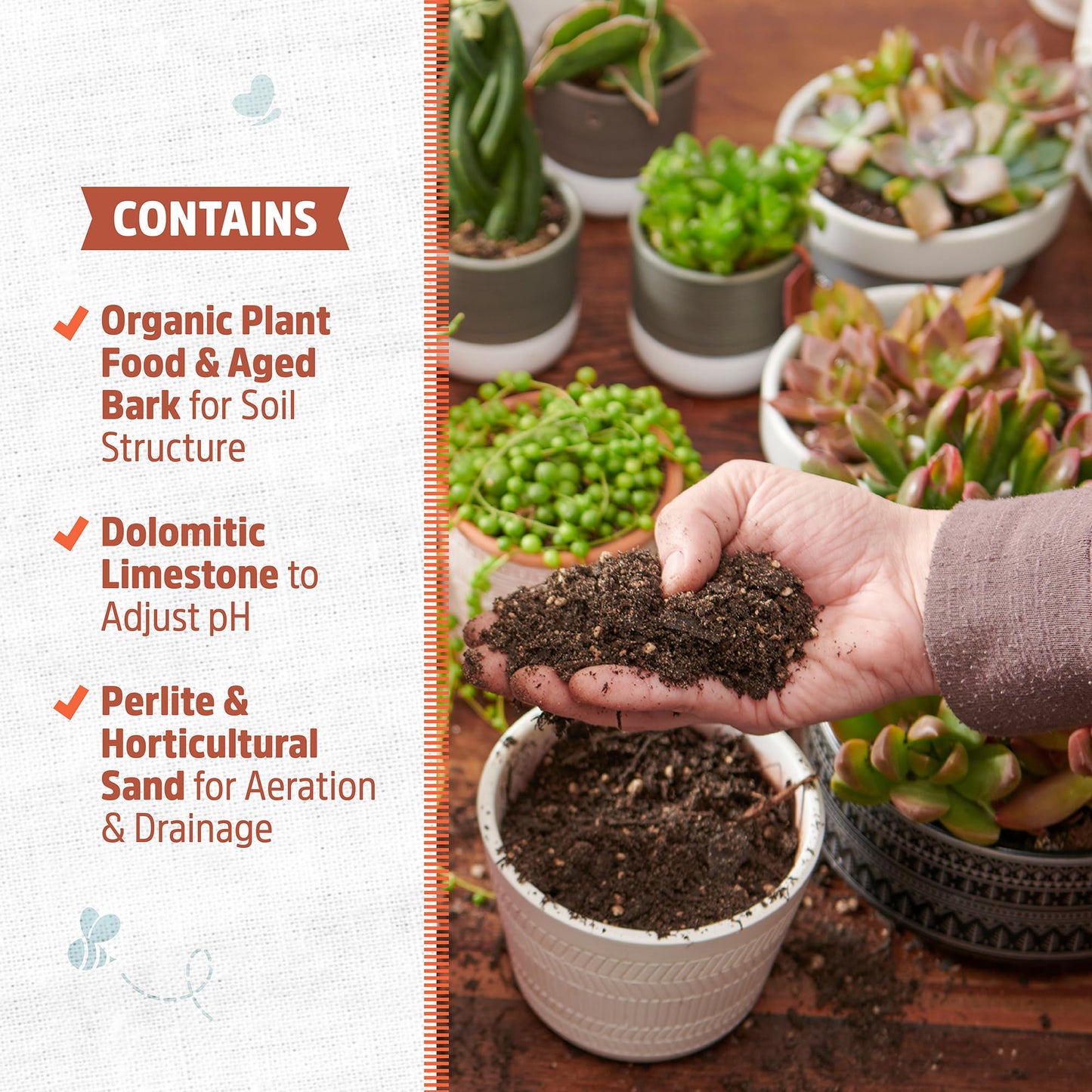 Back to the Roots Succulents & Cacti Potting Mix: Made in The USA (6qt, Pack of 2)