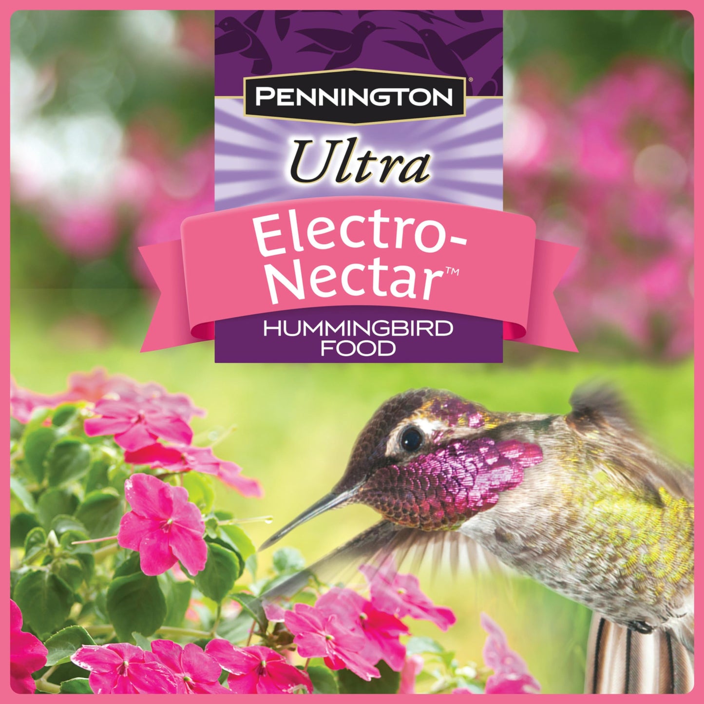 Pennington Electronectar Hummingbird Food Ready to Use Clear 64 ounces (Pack of 1)