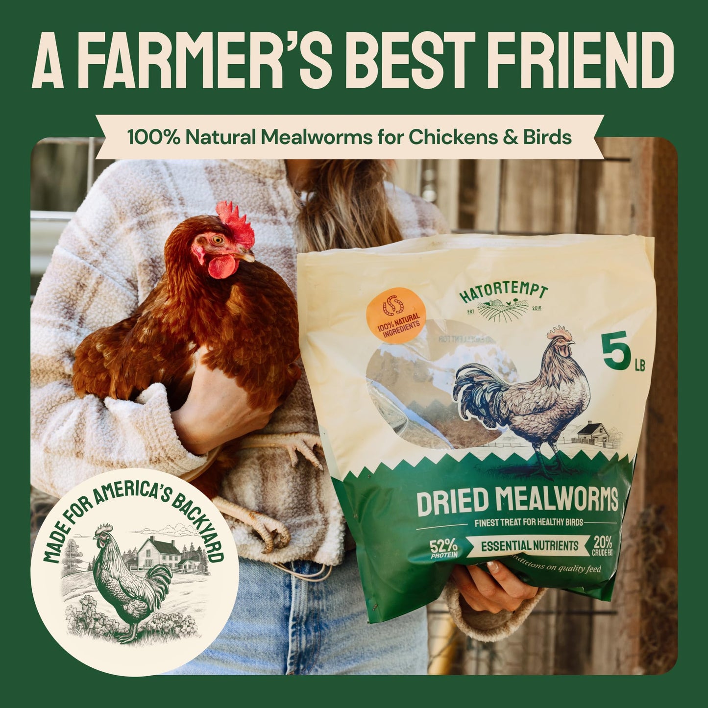 Hatortempt Dried Mealworms 5 lbs – Premium Organic Non-GMO Dried Mealworms for Chickens – High Protein Chicken Feed Meal Worms for Wild Birds & Chicken Treats for Laying Hens