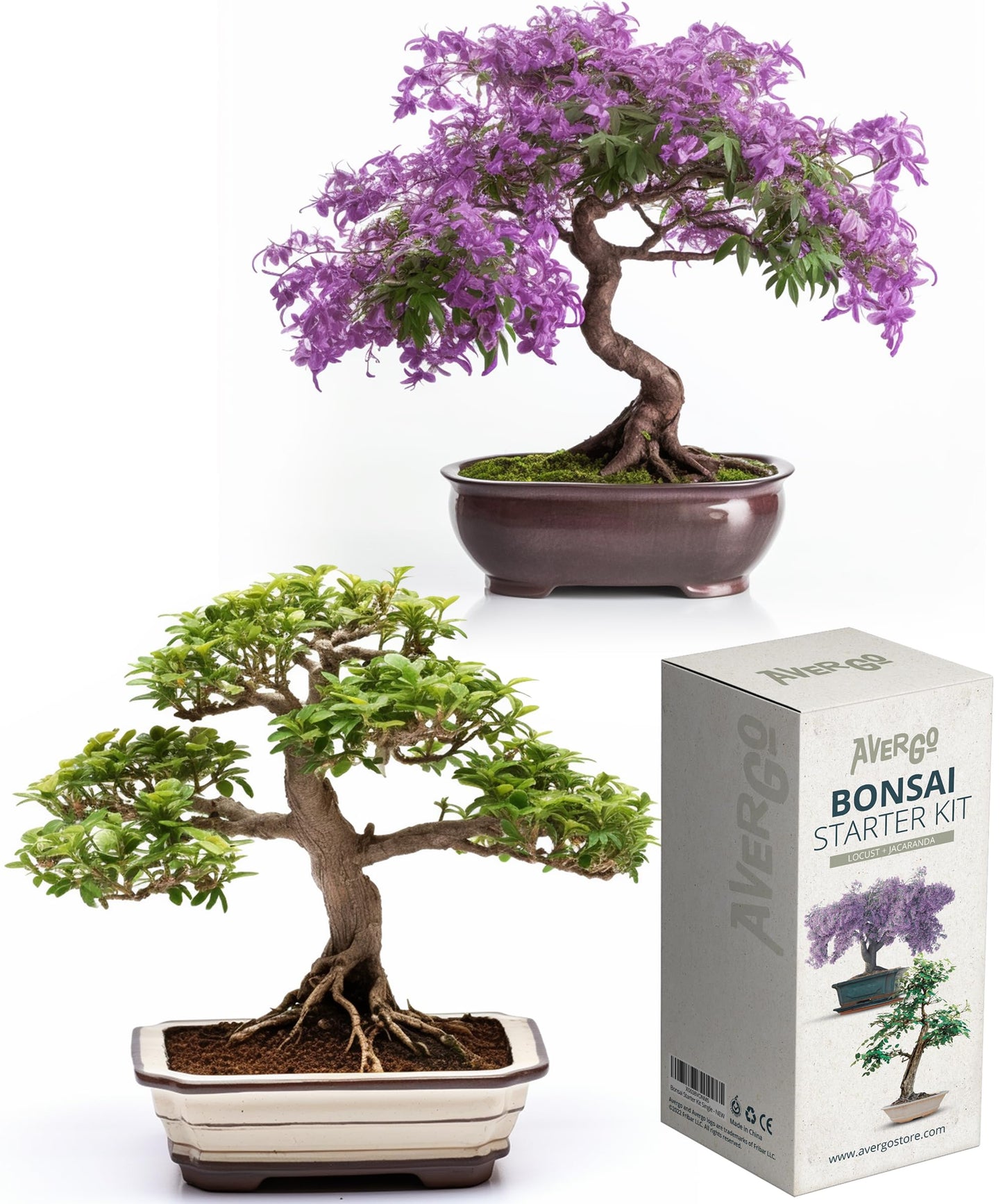 AVERGO Bonsai Growing Seed Kit - 2X Japanese Bonsai Trees | Complete Indoor Starter Kit for Growing Bonsai Trees + Tools + Planters | Gardening Gifts for Women & Men