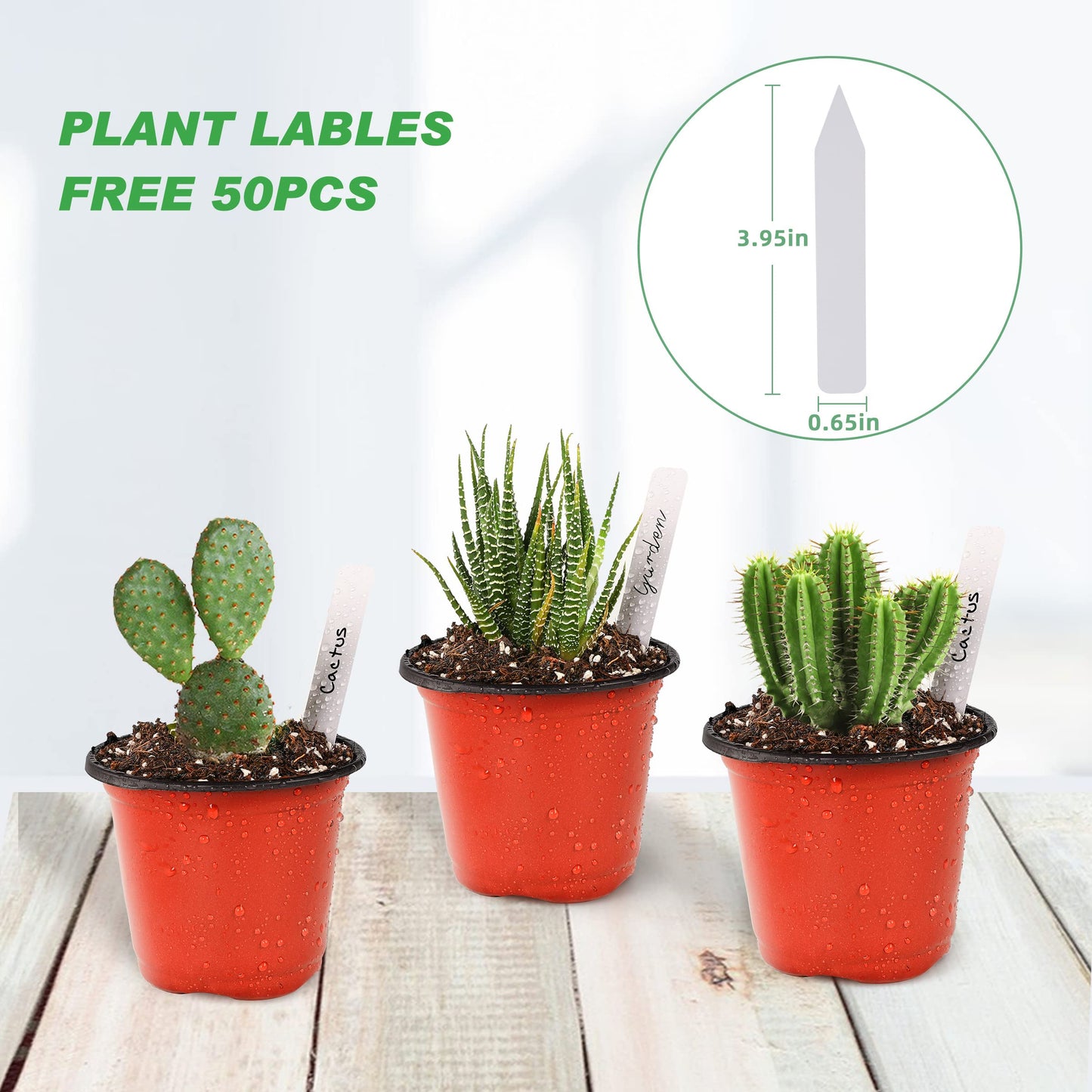 TDHDIKE Plastic Planter Nursery Pots 4" Small (50pcs Pots and 50pcs Labels) Seedlings Flower Pots Container Seed Starting Pots for Plants