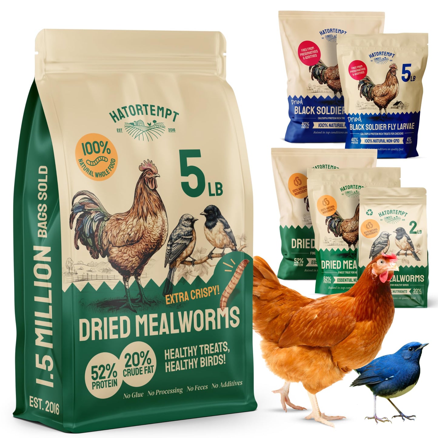 Hatortempt Dried Mealworms 5 lbs – Premium Organic Non-GMO Dried Mealworms for Chickens – High Protein Chicken Feed Meal Worms for Wild Birds & Chicken Treats for Laying Hens