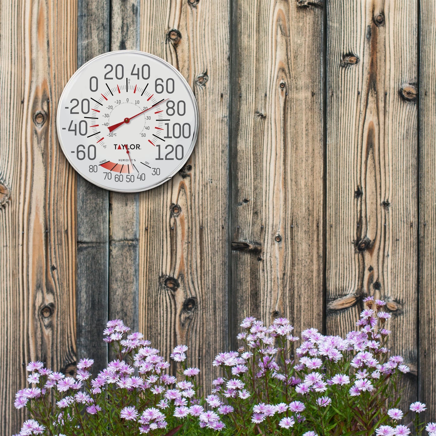 Taylor Metal Wall Indoor Outdoor Thermometer and Hygrometer, Easy to Read Numbers for Patio, Pool, and Indoor Areas, 12 inch, White