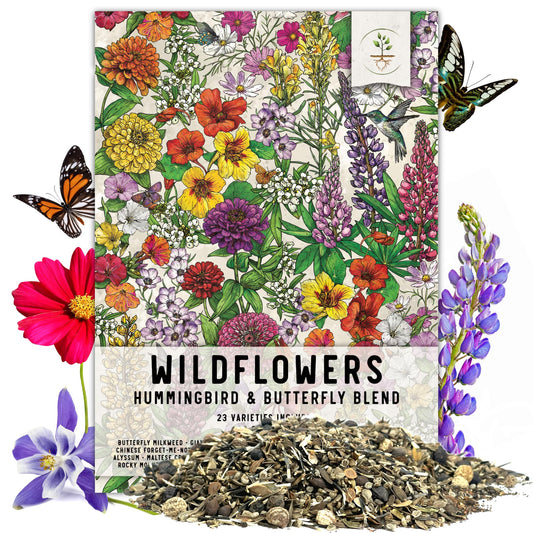 Seed Needs, Package of 15,000+ Hummingbird and Butterfly Garden Wildflower Seed Mixture for Planting (99% Pure Live Seed- NO Filler) 20+ Varieties, Annual Perennial - Bulk