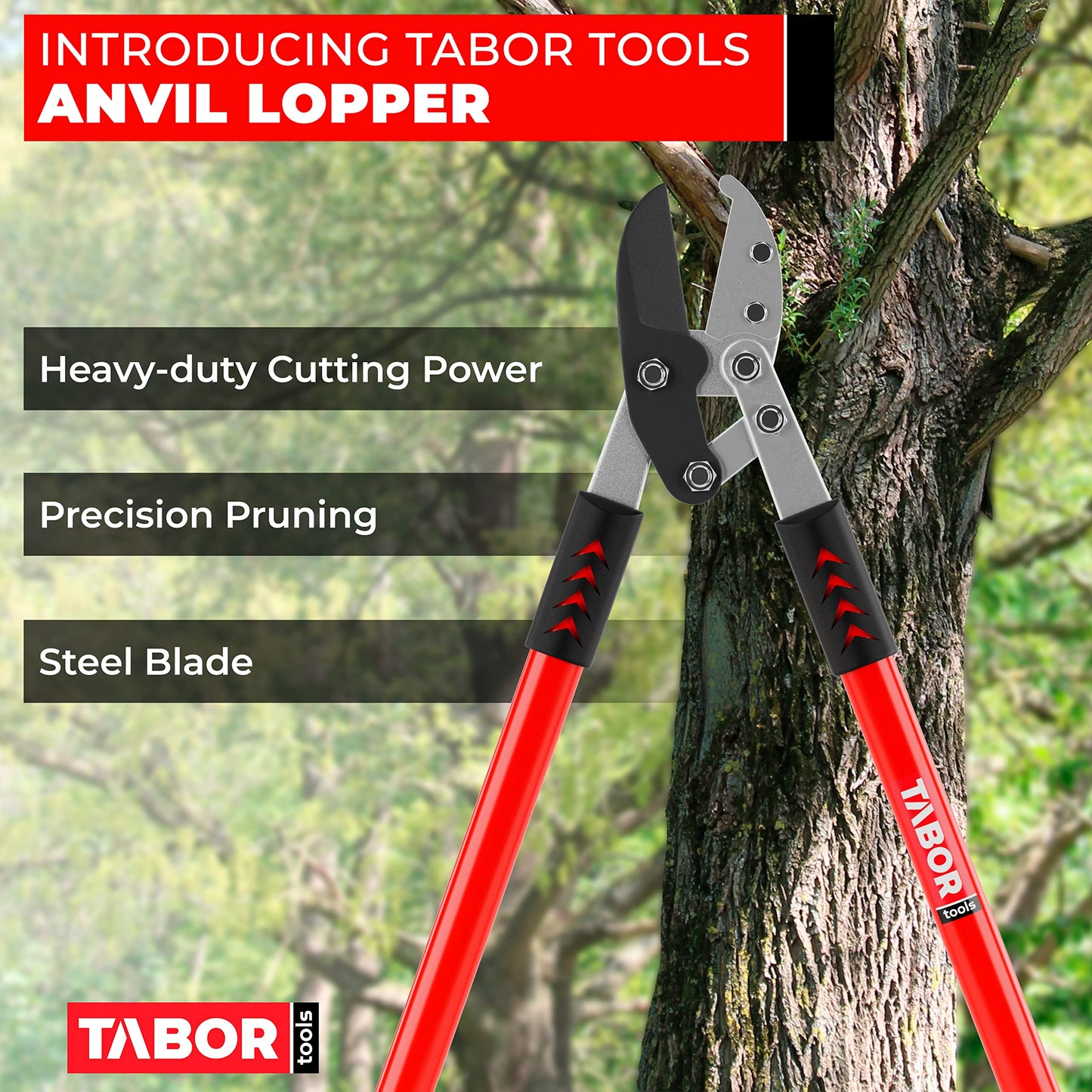 TABOR TOOLS GG12A Anvil Lopper with Compound Action, 30 Inch Tree Trimmer, Branch Cutter with ⌀ 2 Inch Cutting Capacity, Chops Thick Branches with Ease.