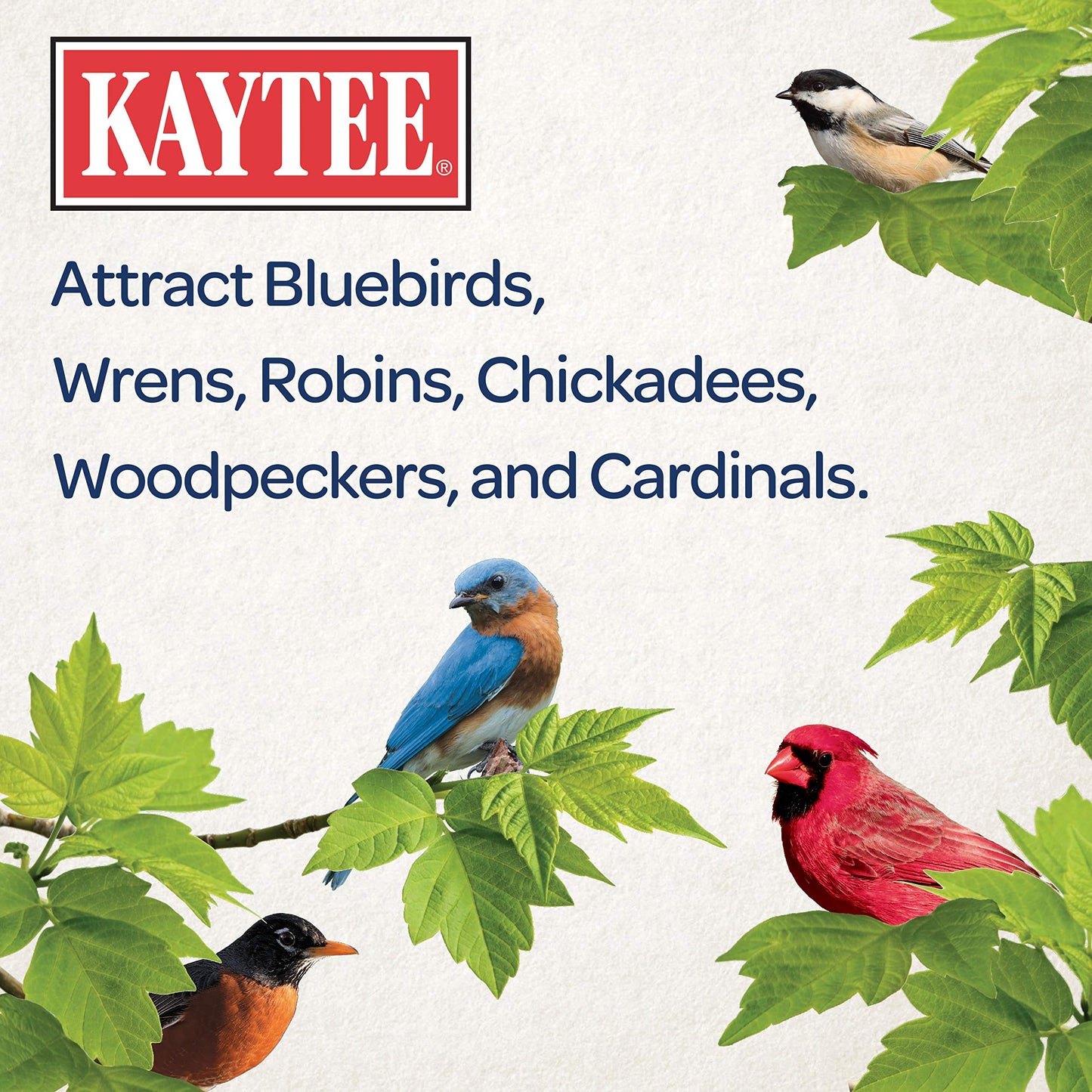 Kaytee Wild Bird Food Mealworms For Bluebirds, Wrens, Robins, Chickadees, Woodpeckers, Cardinals & Chickens, 3.5 Ounce