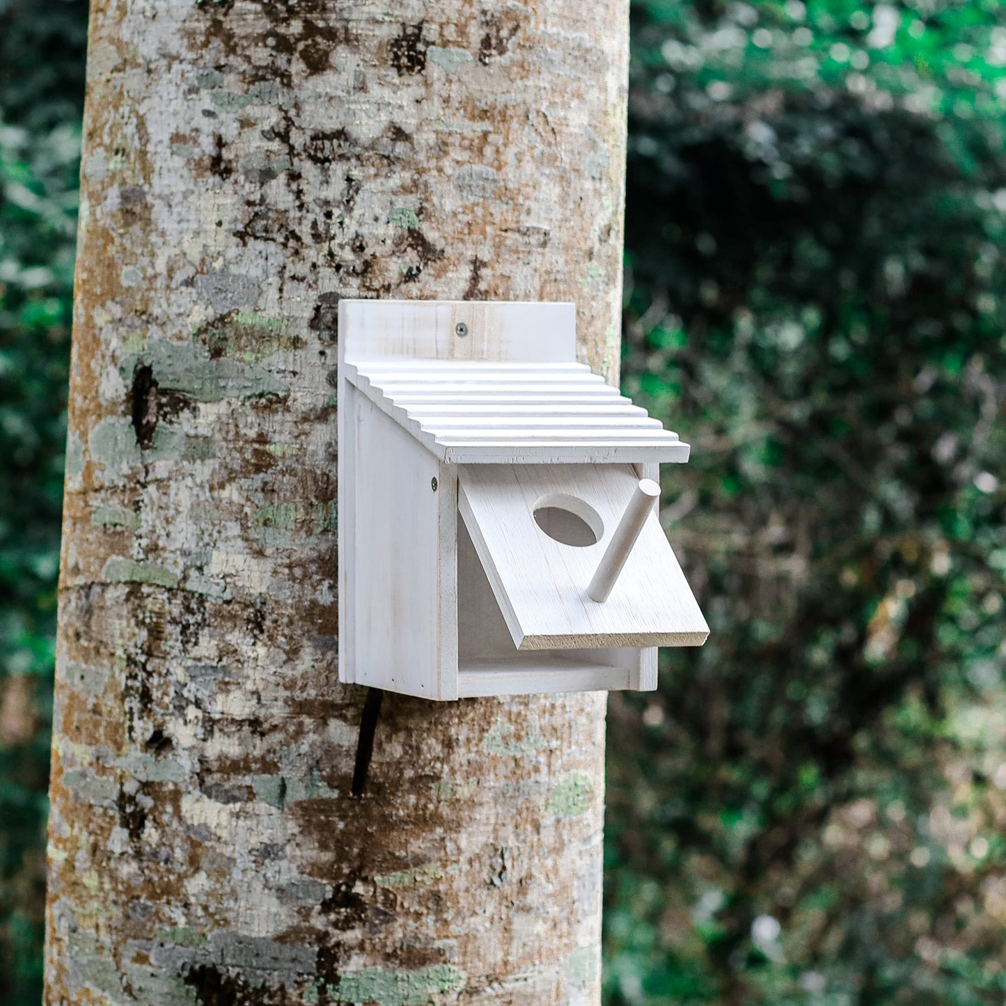 NATUREYLWL Bird House for Outside with Pole for Finch Bluebird Cardinals Garden Wooden Hanging Birdhouses