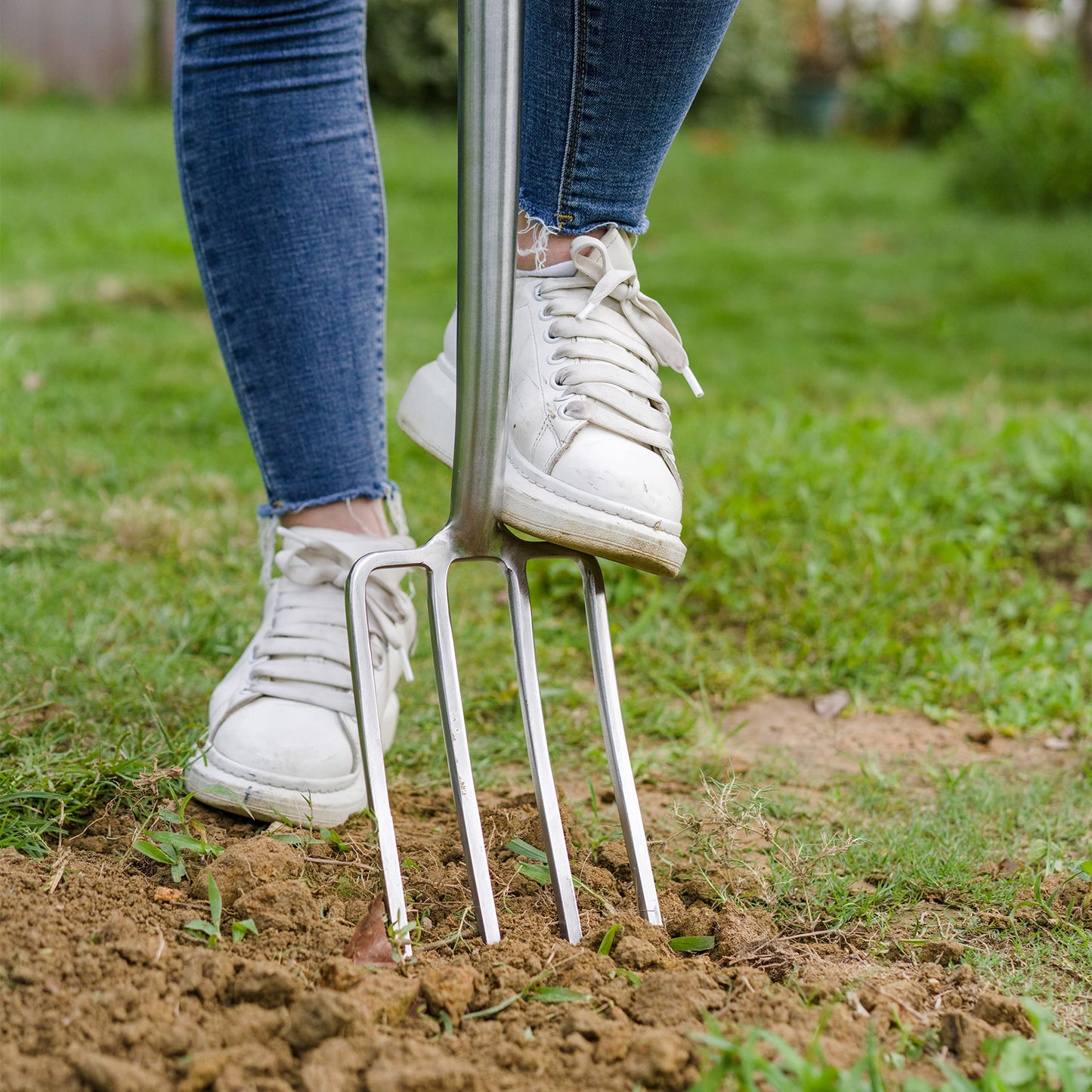 Berry&Bird Garden Digging Fork, 37.4" Stainless Steel Garden Spading Fork with D-Grip Handle, 4-Tine Heavy Duty Long Handled Pitchfork with Ash Wood Handle for Digging, Planting, Cultivating, Aerating