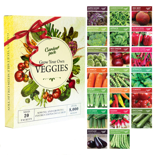 Garden Pack 20 Vegetable Seeds Varieties – High Yield Garden Seeds for Planting Vegetables – Over 8,000 Premium, Non-GMO Heirloom Seeds for Outdoor & Indoor Garden