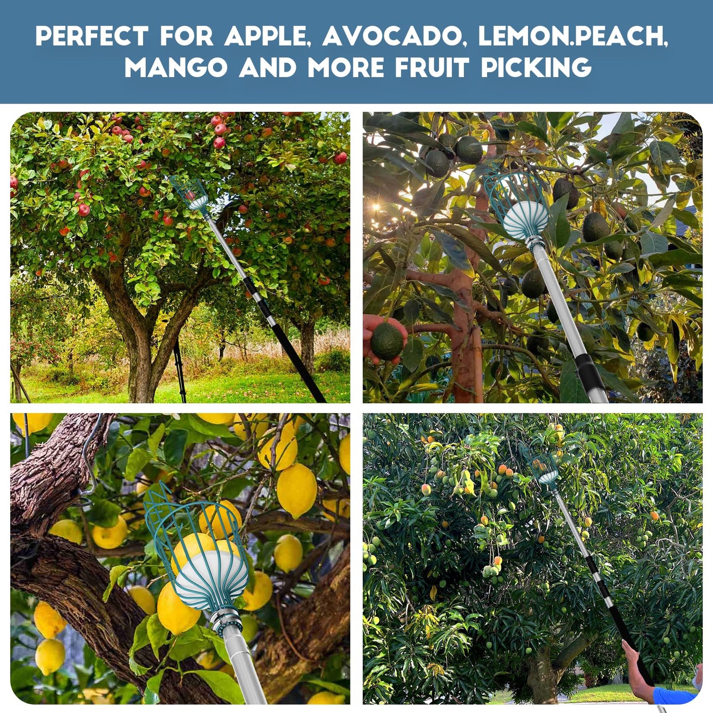 Telespro 12FT Telescoping Fruit Picker (20+ Foot Reach) | Lightweight High-Grade Aluminum Extension Pole with Easy Attach Twist-On Apple Basket | Durable Fruit Picking Tool