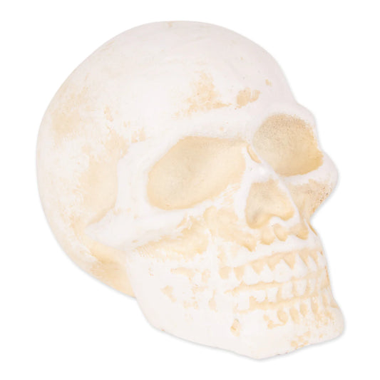 Human Skull Cast Iron Paperweight ( Discontinued )